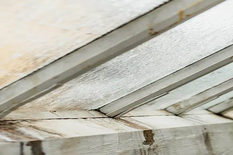 Feuchte Fenster Schimmel